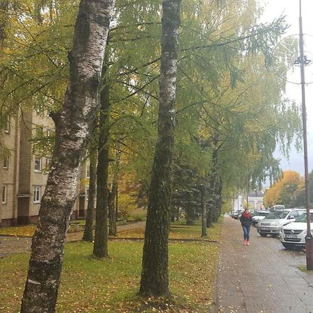Apartamentai Vilniaus Street シャウレイ エクステリア 写真