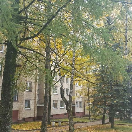 Apartamentai Vilniaus Street シャウレイ エクステリア 写真