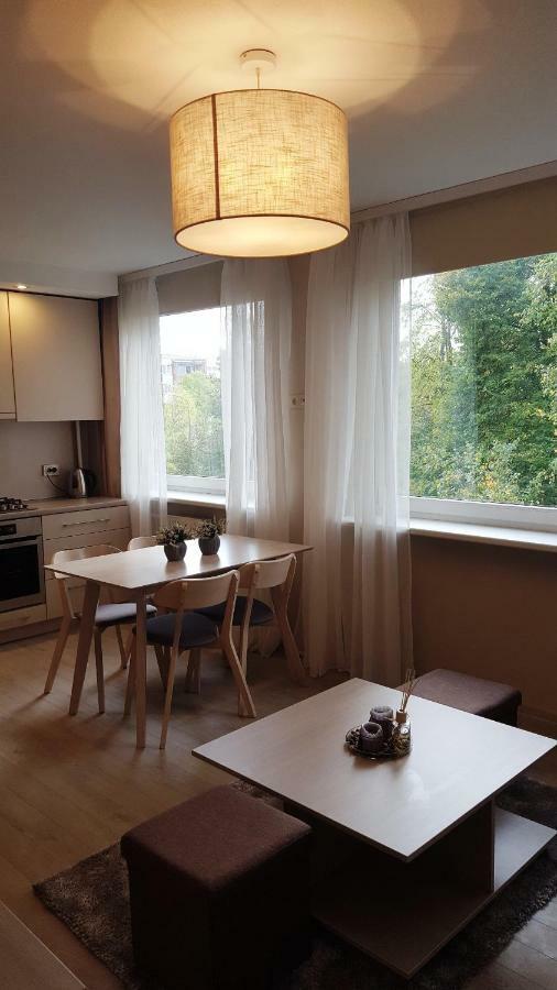 Apartamentai Vilniaus Street シャウレイ エクステリア 写真