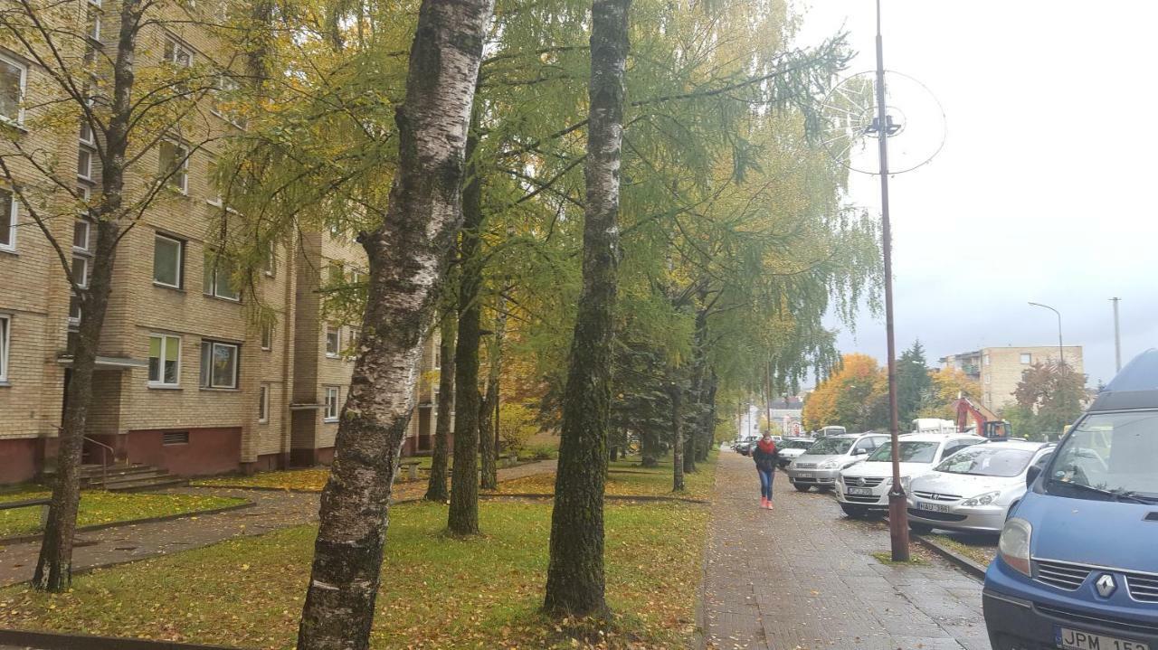 Apartamentai Vilniaus Street シャウレイ エクステリア 写真