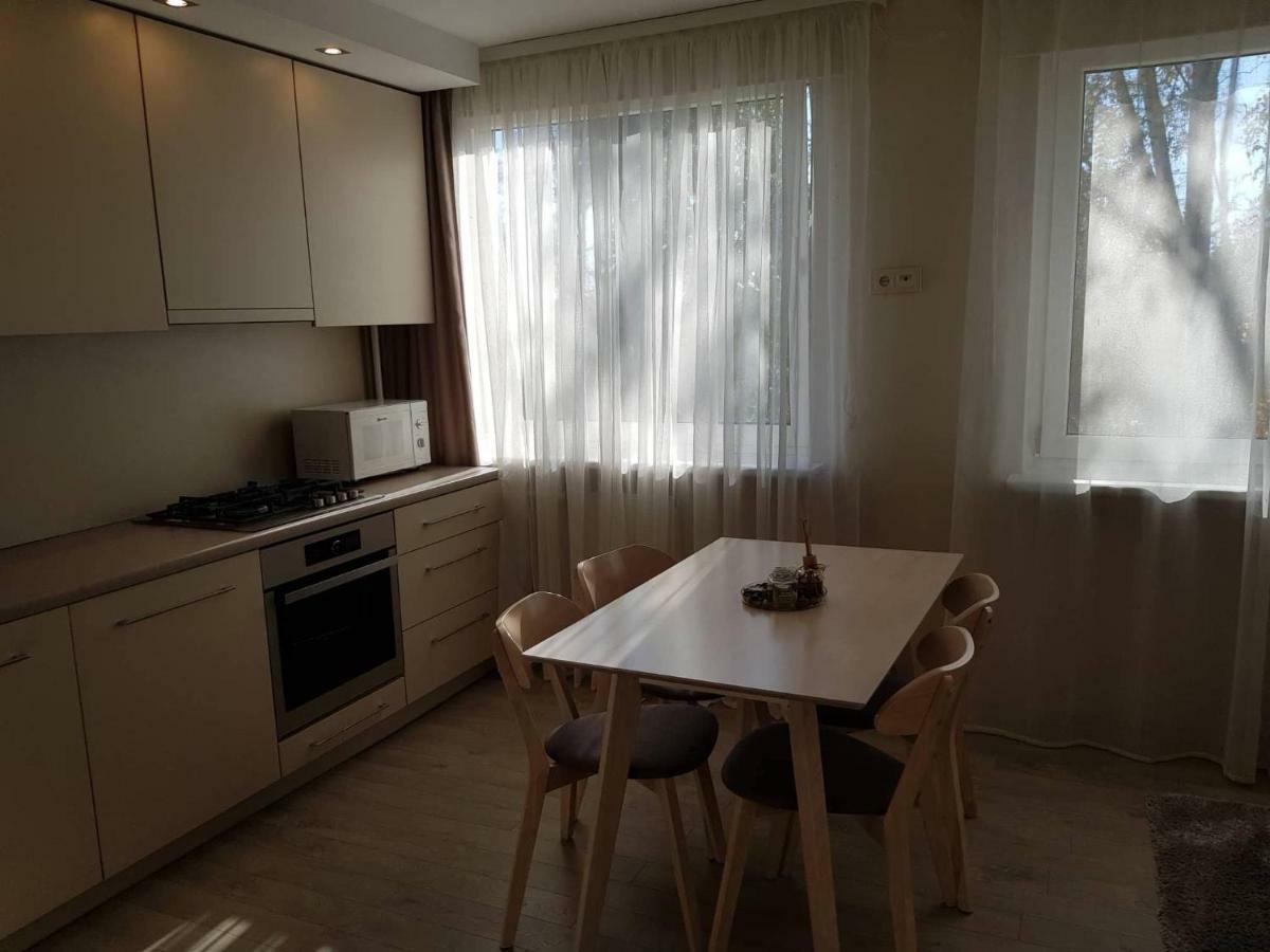 Apartamentai Vilniaus Street シャウレイ エクステリア 写真