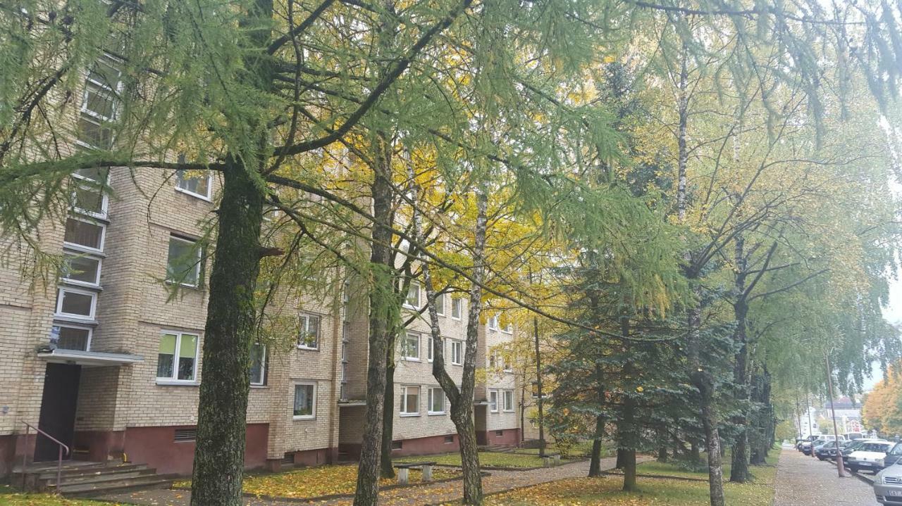 Apartamentai Vilniaus Street シャウレイ エクステリア 写真