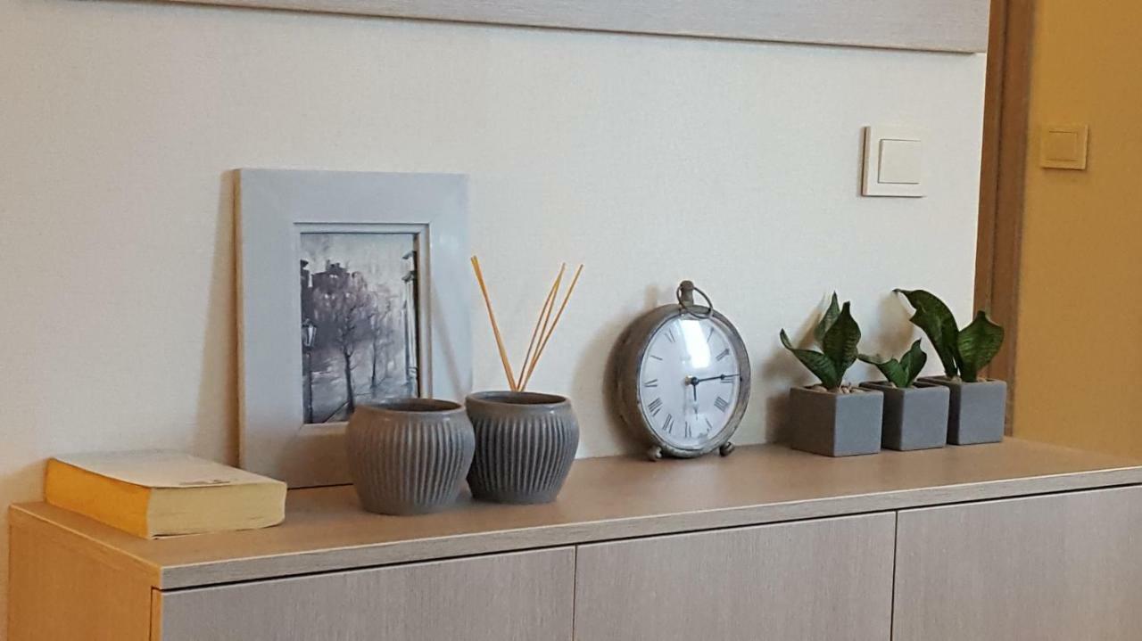 Apartamentai Vilniaus Street シャウレイ エクステリア 写真